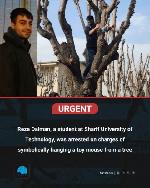 رضا دلمان