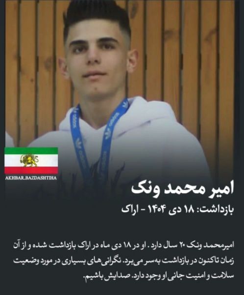 امیر محمد وانک