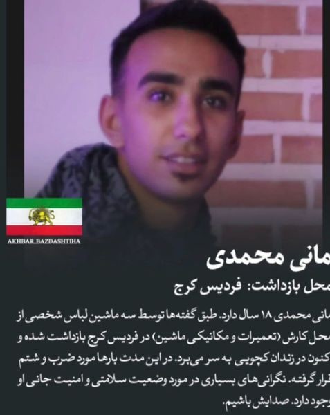 مانی محمدی