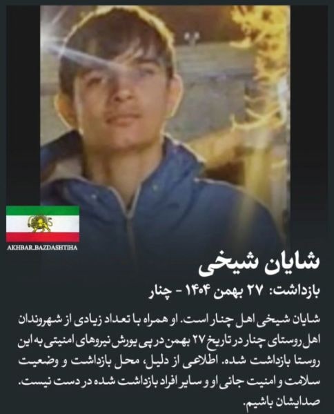شایان شیخی