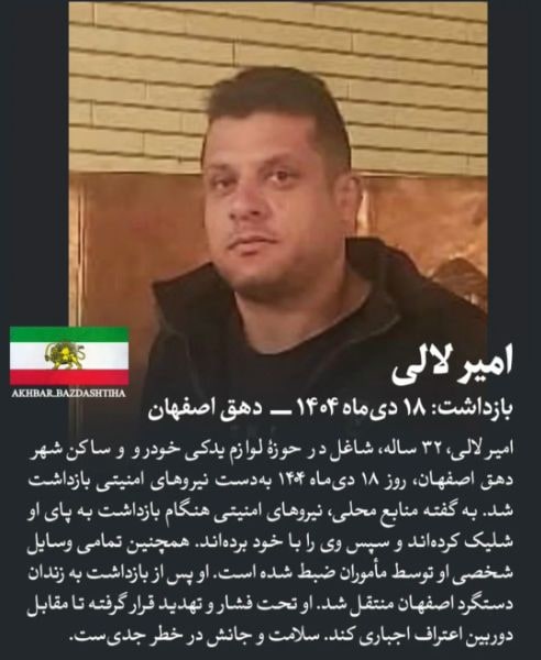 امیر لالی