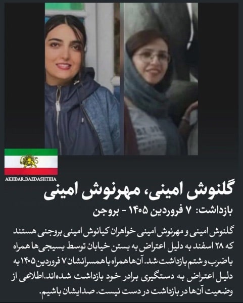 گلنوش امینی