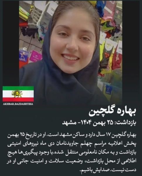 بهاره قلچین