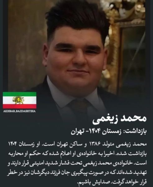 محمد ضیغمی