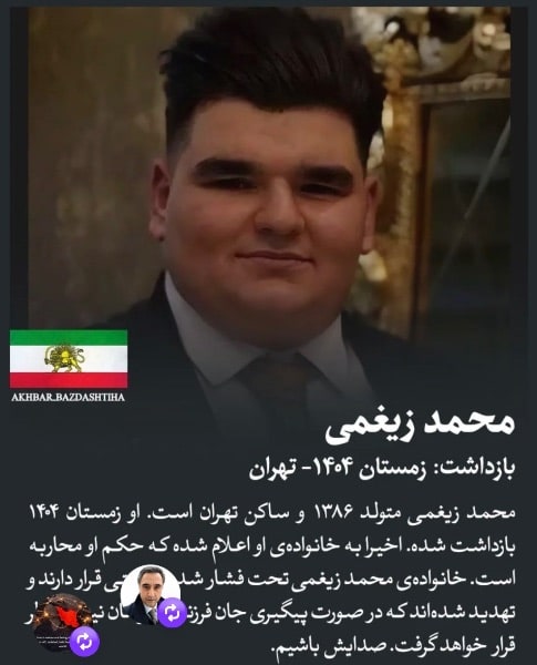 محمد ضیغمی