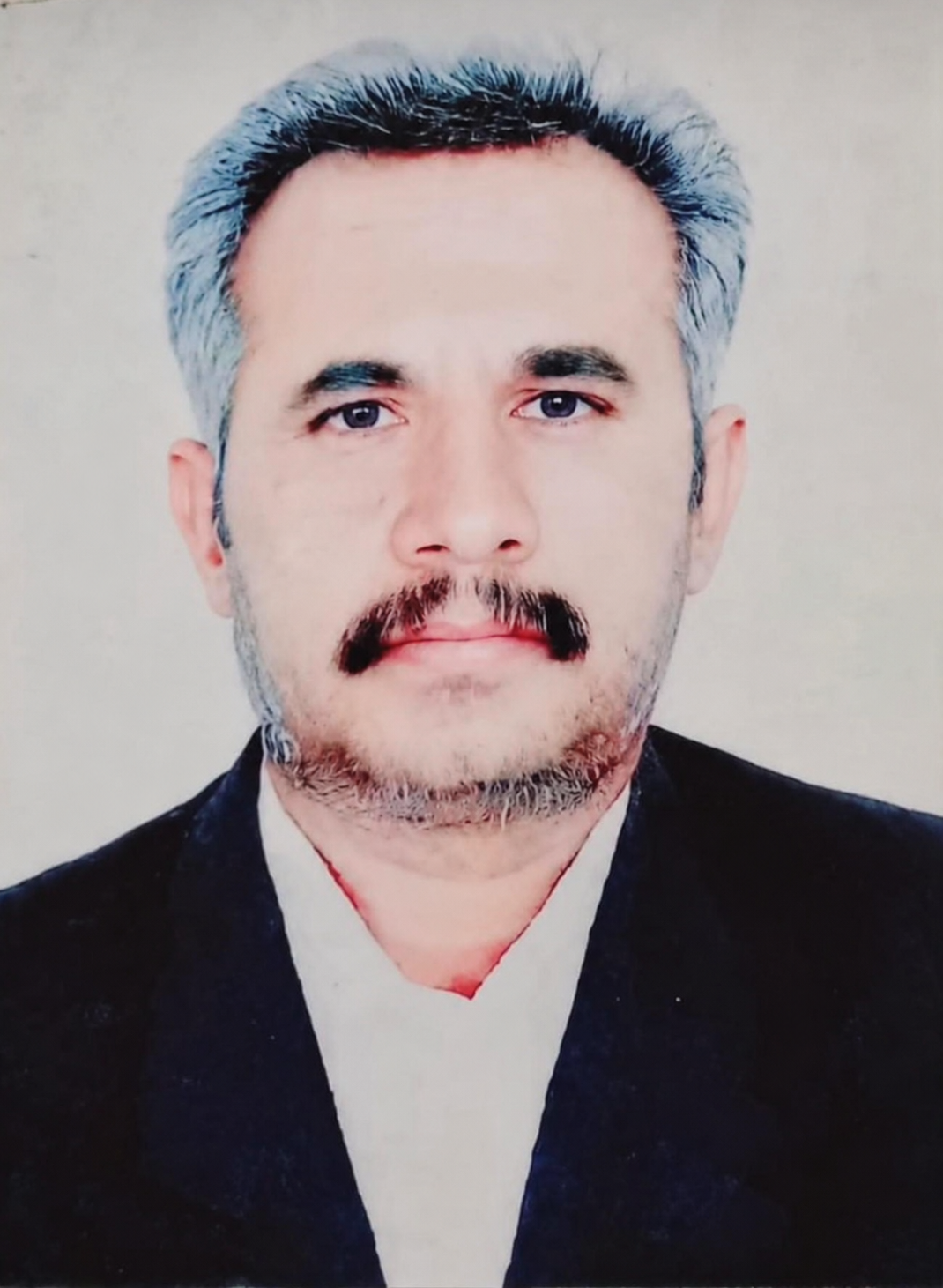 Hassan Hosseini Narouyi