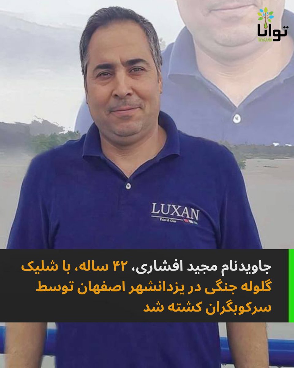 مجید افشاری