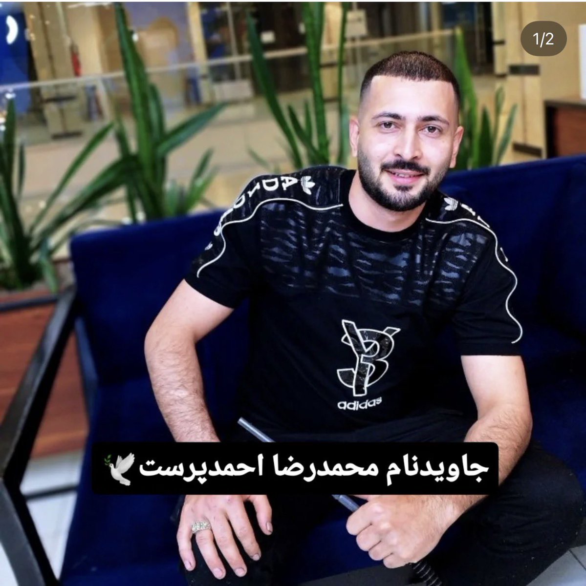 محمدرضا احمدپرست