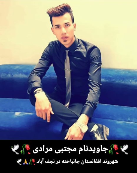 مجتبی مرادی