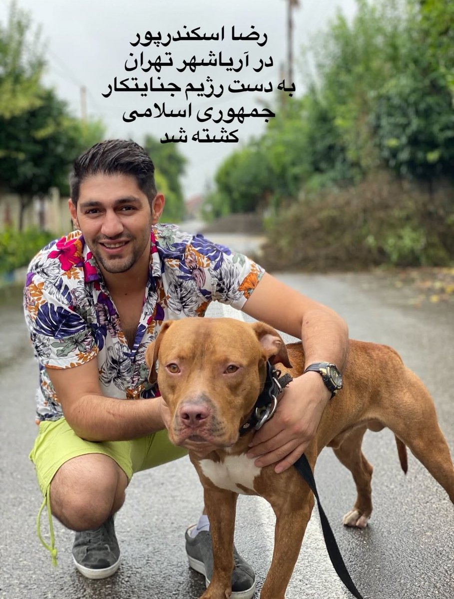 تصویر ثبتشده رضا اسکندریپور