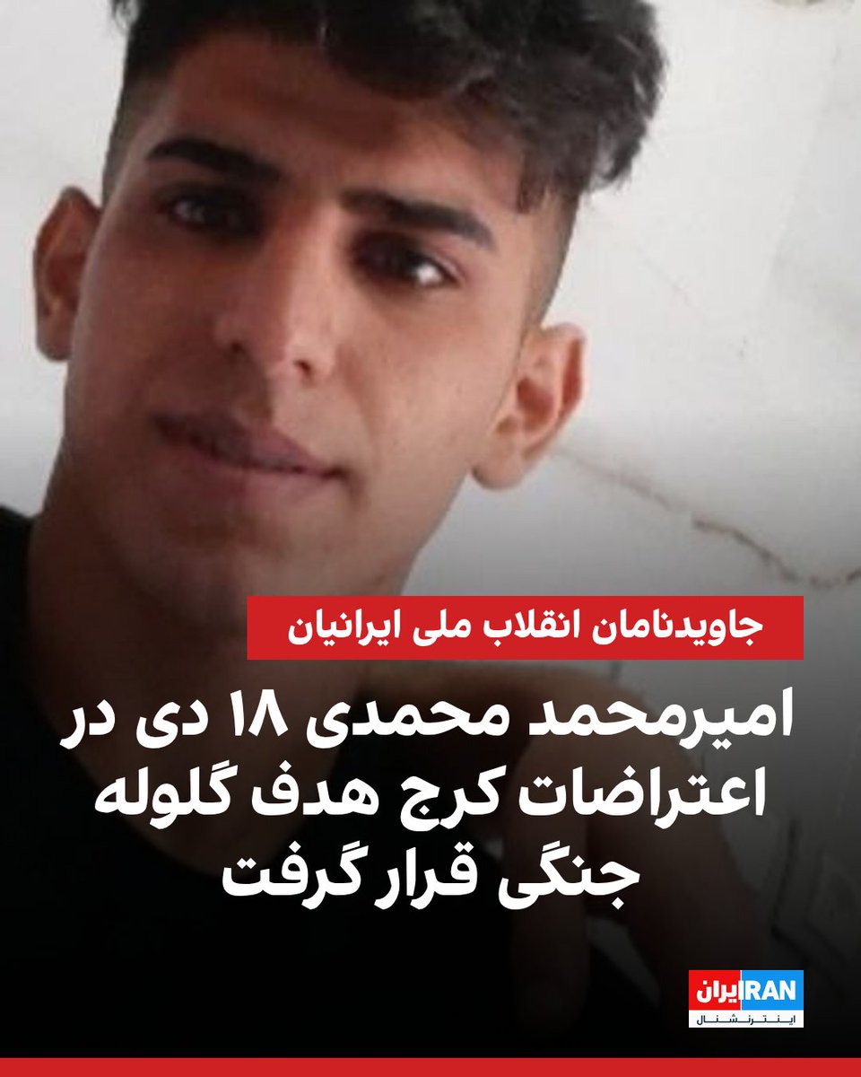 محمد محمدی