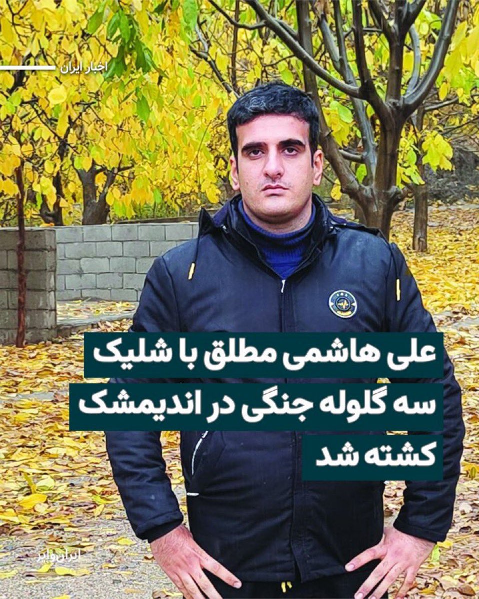 علی هاشمی مطلق