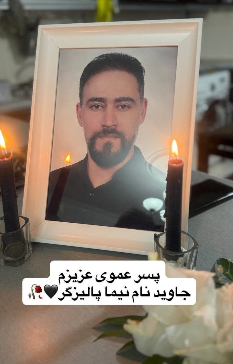 نیما پالیزگر