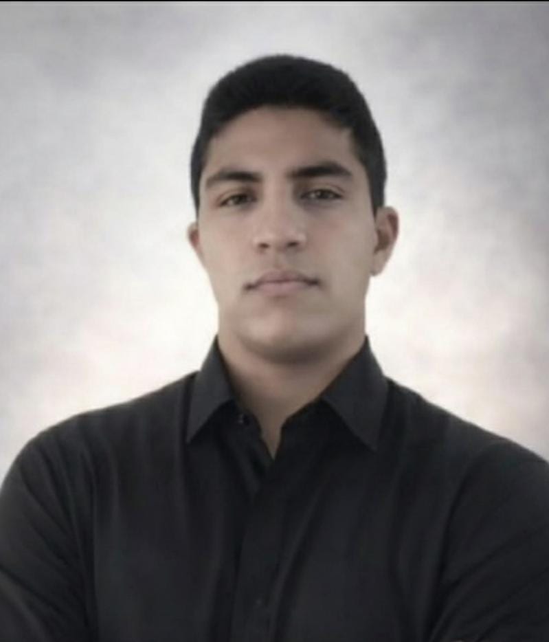 Amir Hamzeh Palangi