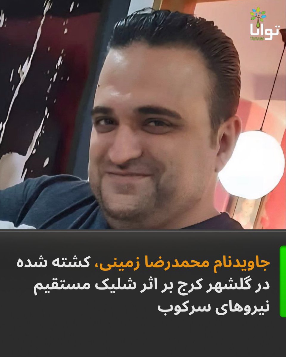 محمدرضا زمینی
