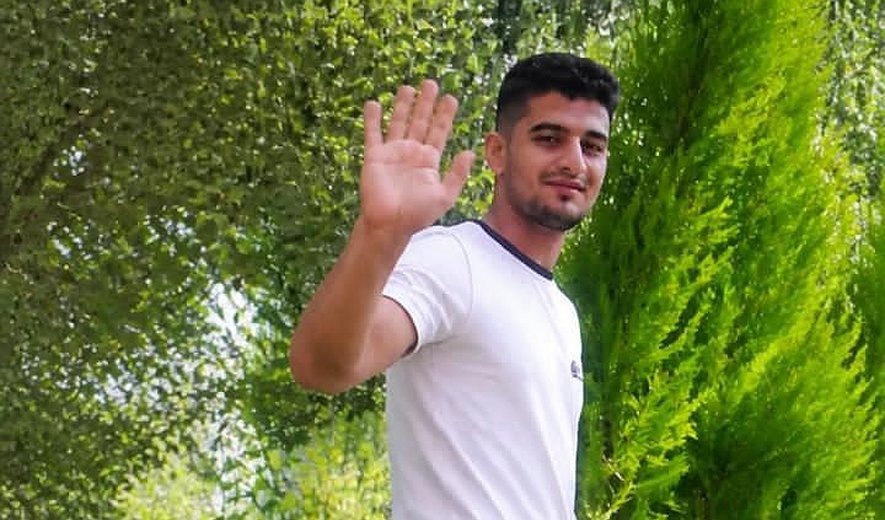 Hadi Alipour